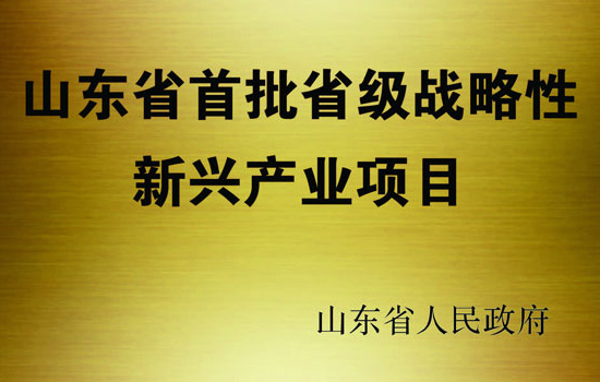 2012年2月山东国际生物科技园项目获批“山东省首批省级战略级新型产业项目” 